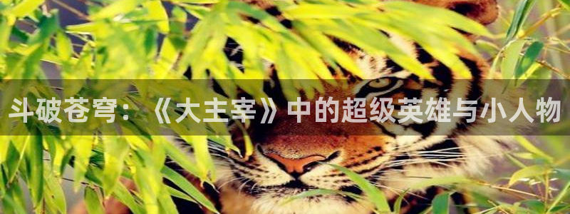 爱欲51漫画在线观看