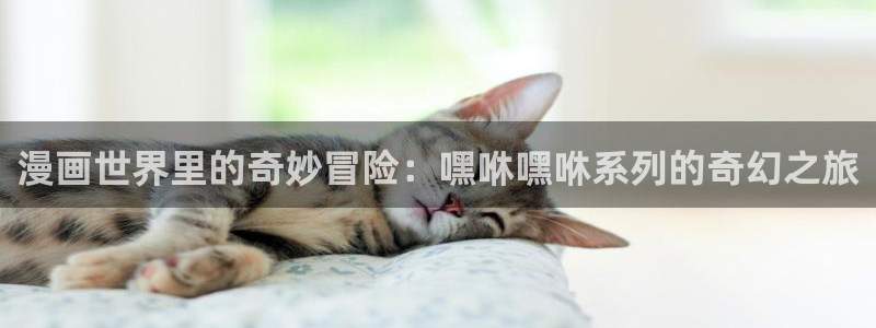 51漫画免费在线观看下拉式