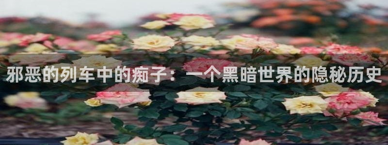 51漫画入口网站
