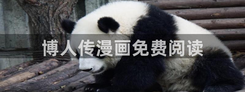 yy51漫画 免费漫画免费观看：博人传漫画免费阅读
