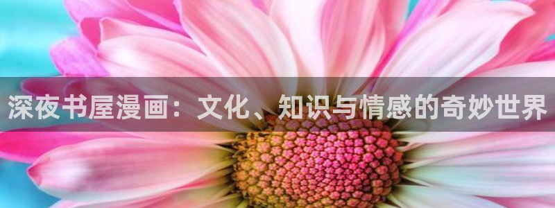 51漫画网站土豪：深夜书屋漫画：文化、知识与情感的奇妙世界