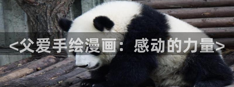 51漫画资源从哪来：<父爱手绘漫画：感动的力量>