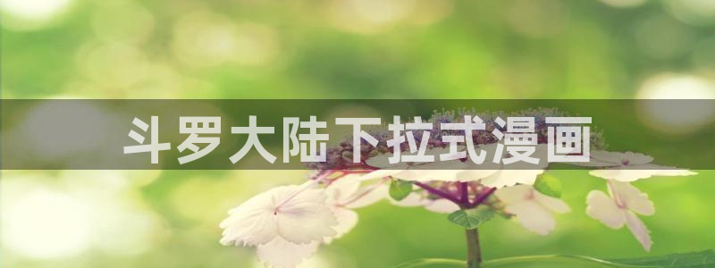 h51漫画画免费：斗罗大陆下拉式漫画