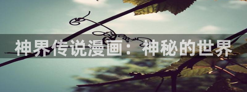 51漫画画免费阅读女神：神界传说漫画：神秘的世界