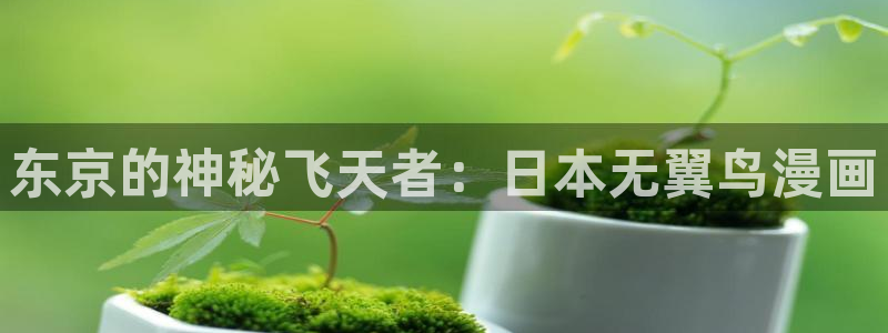 51漫画网站羞羞：东京的神秘飞天者：日本无翼鸟漫画
