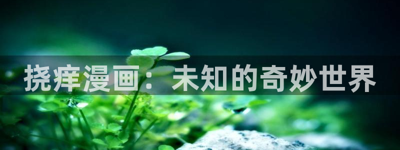 51漫画画免费阅读网站