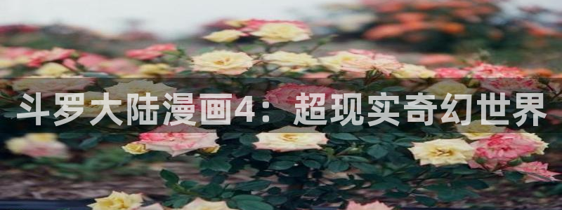 51漫画免费在线观看阅读
