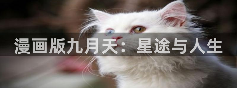 51漫画78漫画官网小说