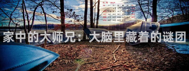 51漫画画资源