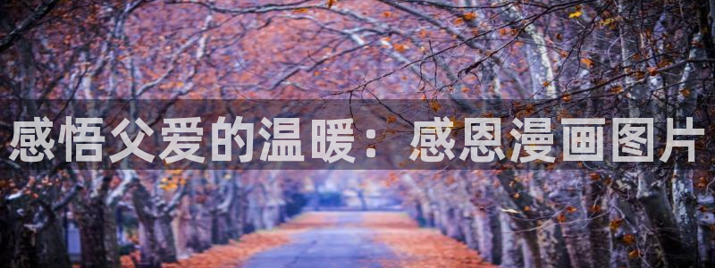 51漫画在线观看免费网站