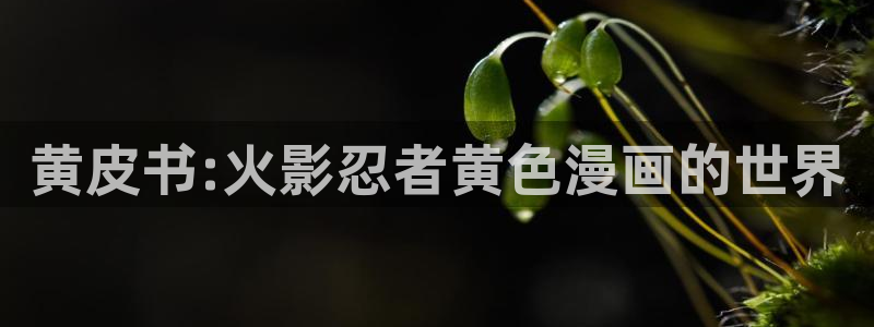 51漫画之家漫画免费阅读入口