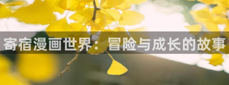 51漫画网站导航